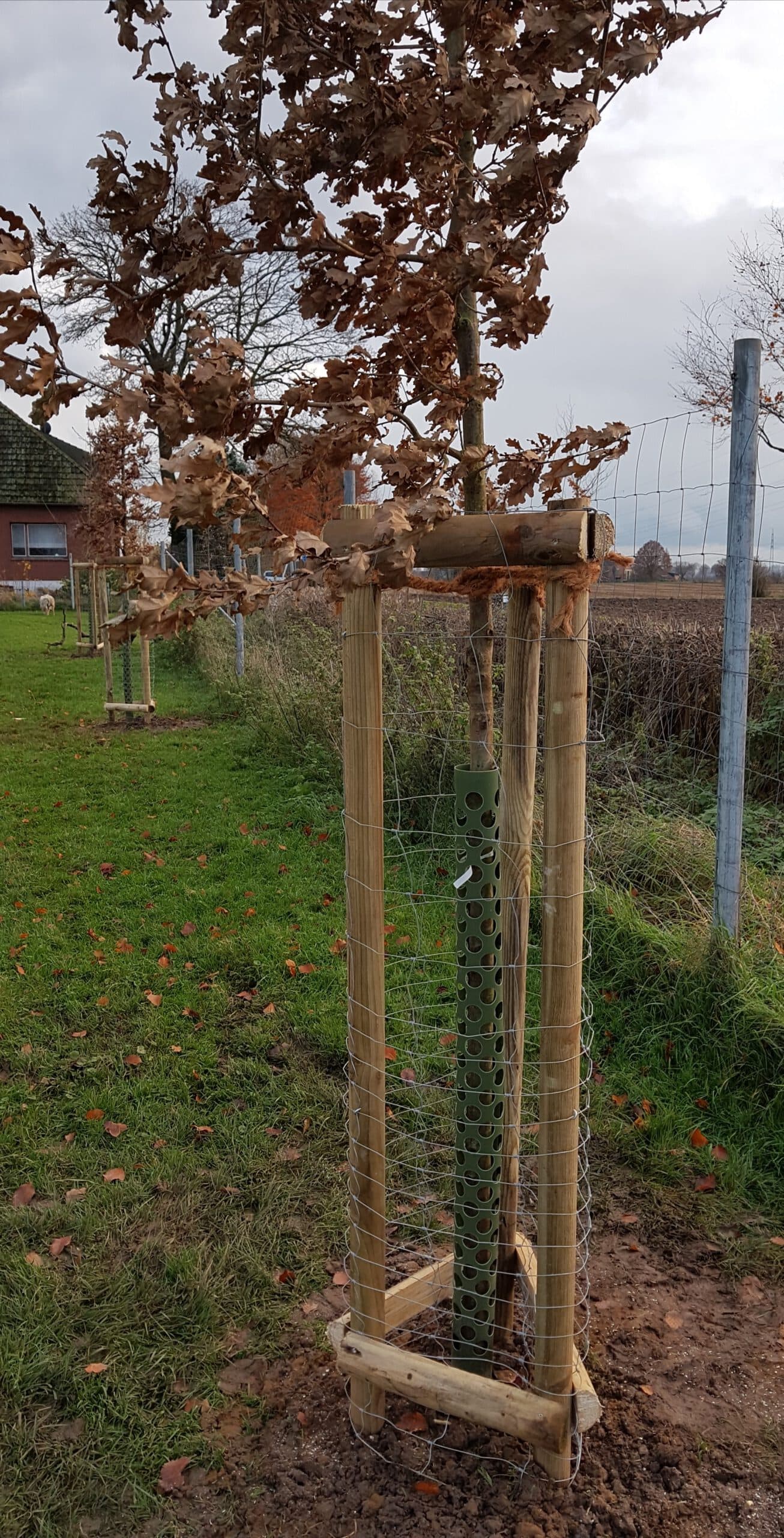 Landschaftspflege am Wegesrand